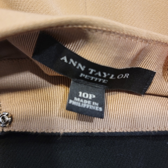 Ann Taylor- Brown-Tan- Skirt- 10P - Picture 3 of 4